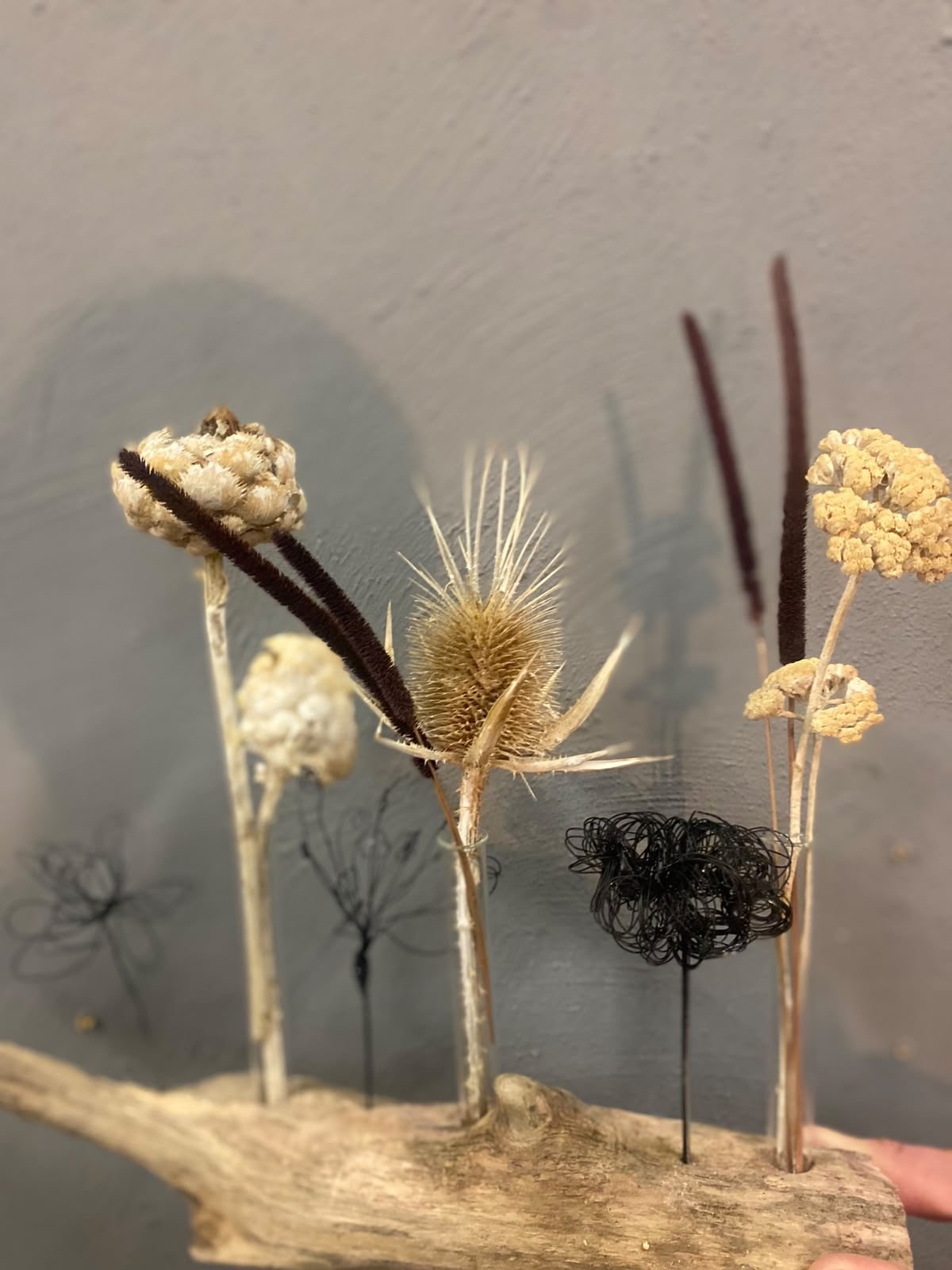 Trockenblumen und Drahtblüten in Reagenzgläsern auf Treibholz